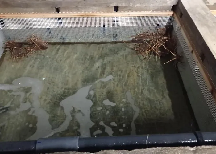 S'algaret فندق فورنيلس