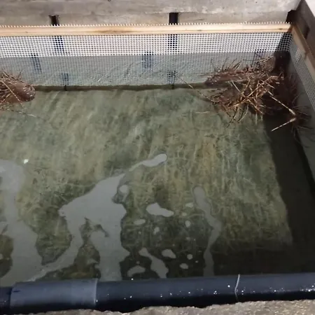 S'algaret מלון פורנלס