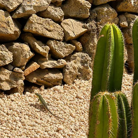 S'algaret Fornells (Menorca)